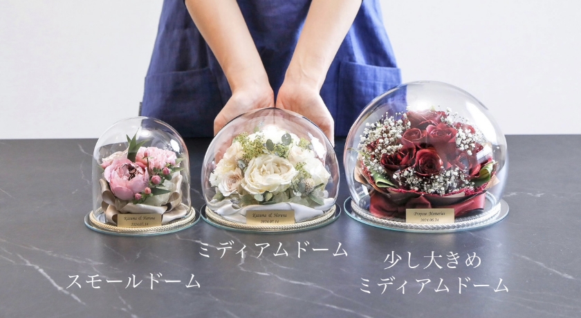 ドームサイズの比較