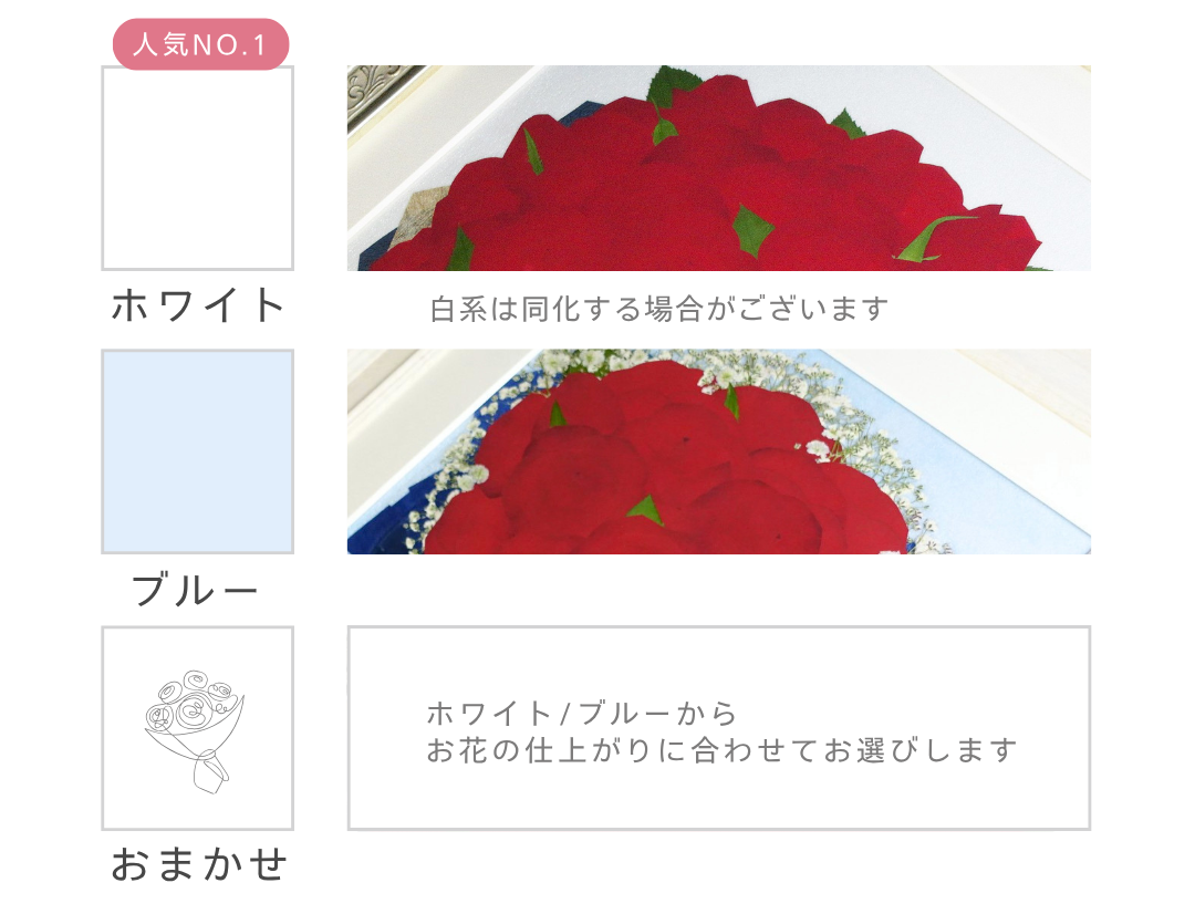 選べるバックカラー