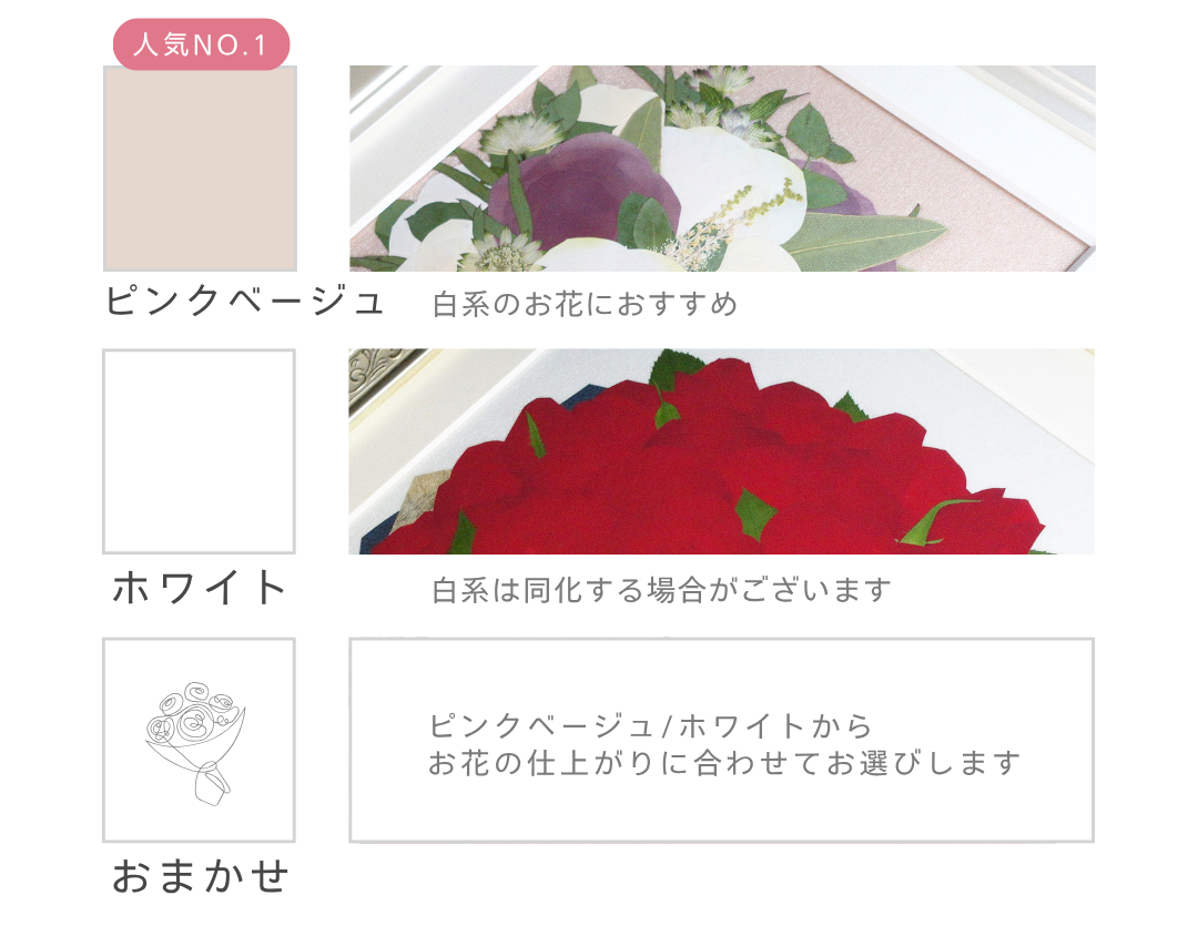 選べるバックカラー