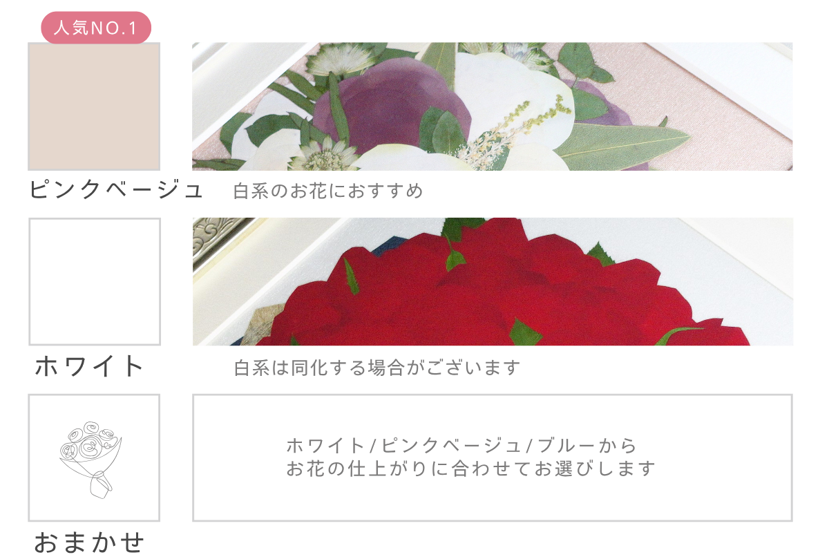 選べるバックカラー