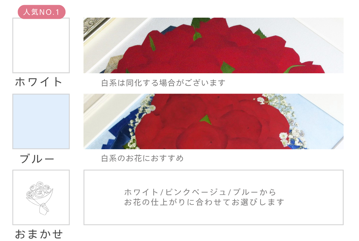 選べるバックカラー