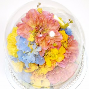 生花保存