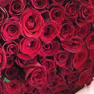プロポーズ 花束 赤バラ