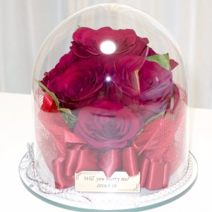 %e3%83%97%e3%83%ad%e3%83%9d%e3%83%bc%e3%82%ba%e8%8a%b1%e6%9d%9f%e3%80%80%e4%bf%9d%e5%ad%98%e3%80%80%e8%b5%a4%e3%83%90%e3%83%a9
