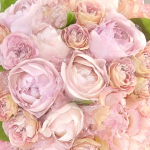 %e3%83%96%e3%83%bc%e3%82%b1%e4%bf%9d%e5%ad%98-%e3%82%b3%e3%83%94%e3%83%bc