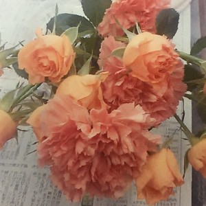 ブーケ保存3